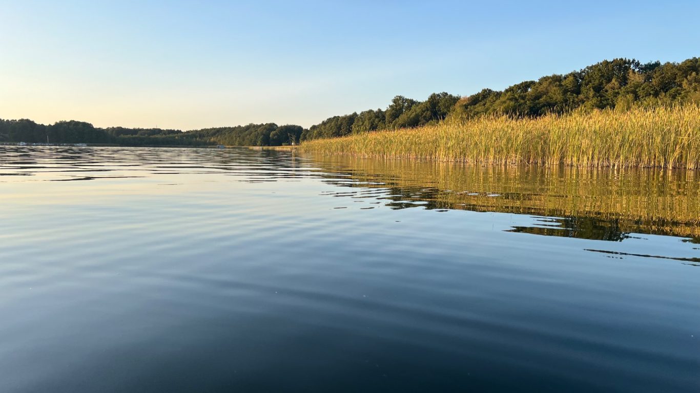 Ruhiger See mit Schilfrohren und grünen Ufern unter klarem Himmel.