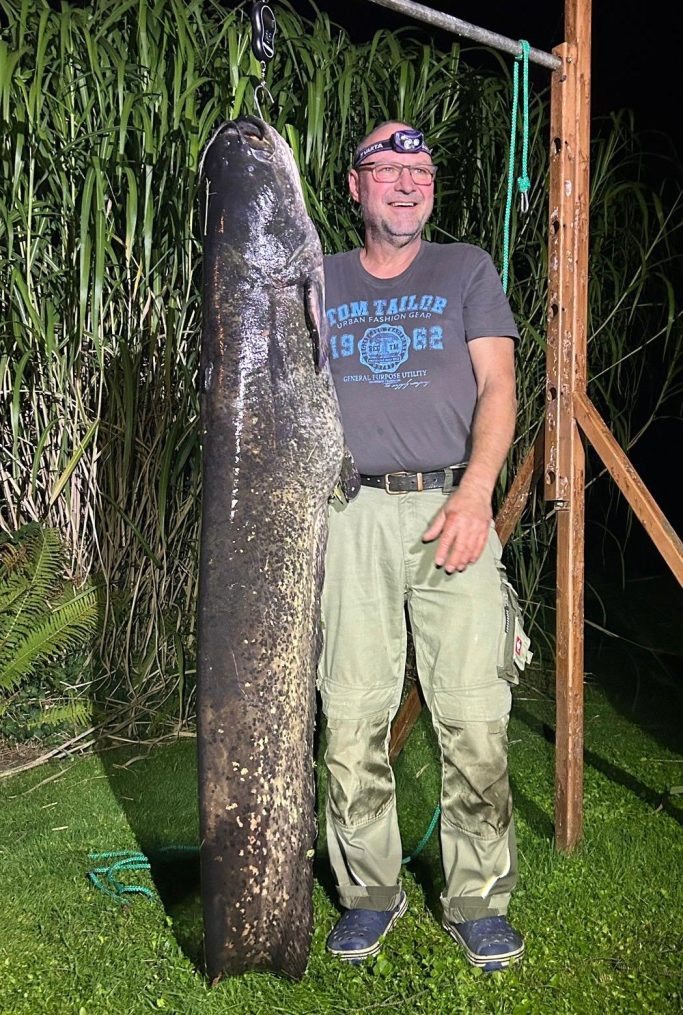 Bild 7. Jens mit traumhaften 1,87m Wels 